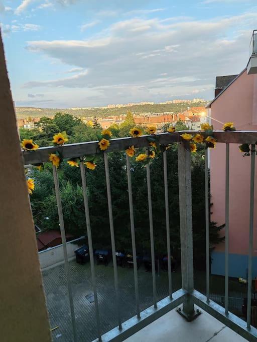 Apartment Star Brno With Terrace 2C Екстериор снимка